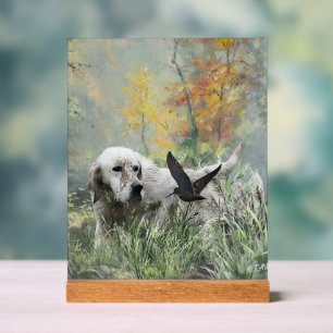 English Setter  Acrylic Sign
