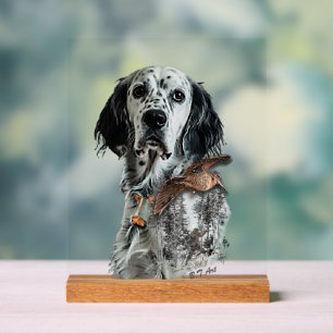 English Setter  Acrylic Sign