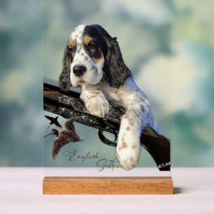 English Setter Acrylic Sign