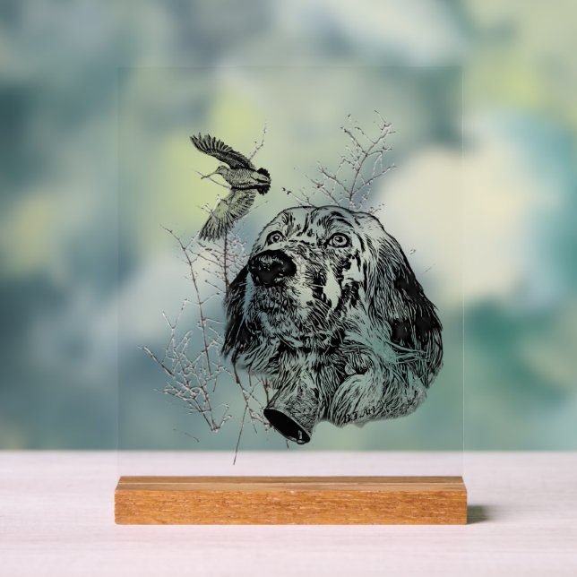 English Setter  Acrylic Sign (Neutral)