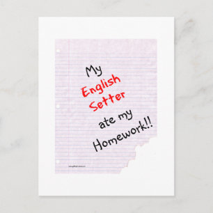 English Setter Ate My Homework Postcard