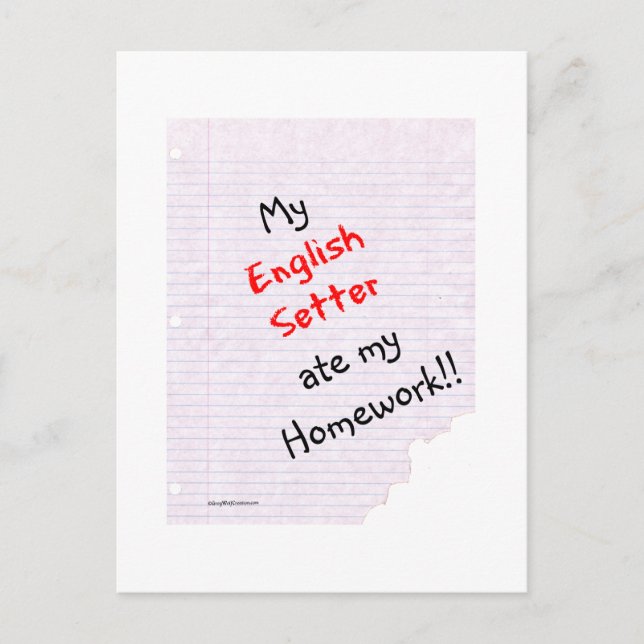 English Setter Ate My Homework Postcard (Front)