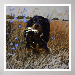 English Setter , bird hunting Poster
