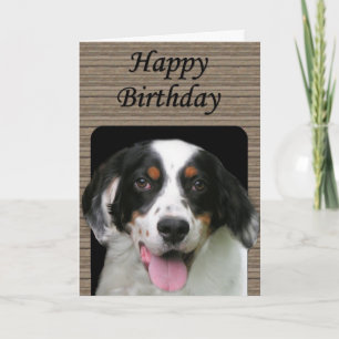 English Setter Birthday Card