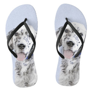 English Setter Blue Belton Painting Dog Art Jandals