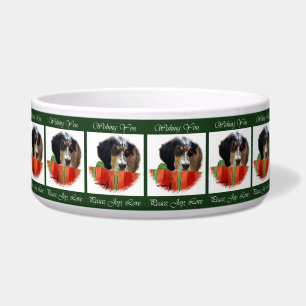 English Setter Christmas