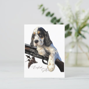 English Setter, cute puppy   Postcard