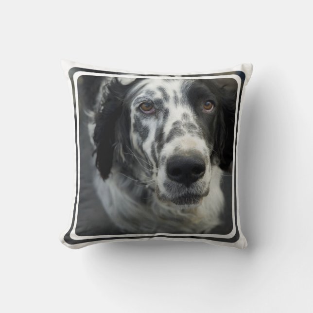 English Setter Dog Pillow (Front)