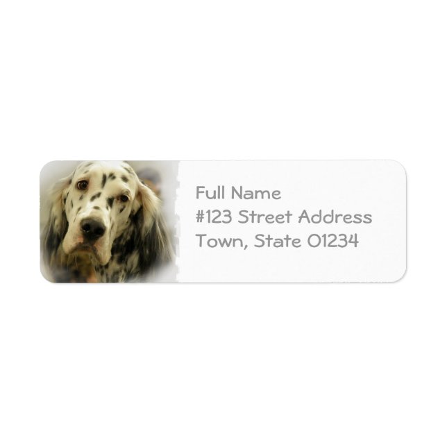 English Setter Dog Return Address Label (Front)