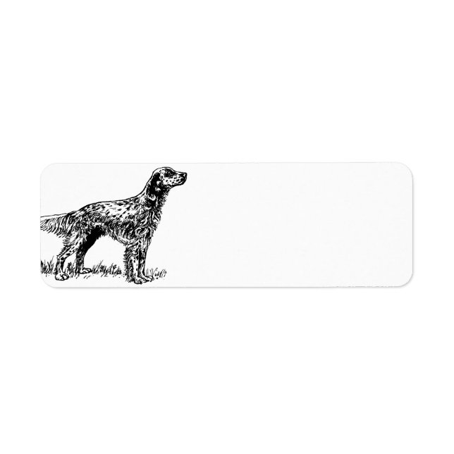 english setter drawing.png (Front)