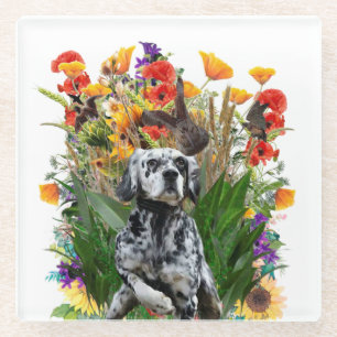 English Setter        Glass Coaster