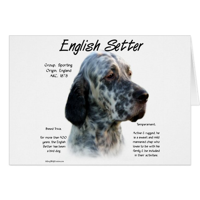 English Setter History Design (Front Horizontal)