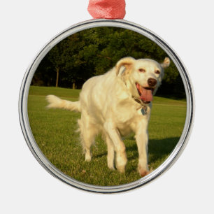 English Setter Metal Tree Decoration