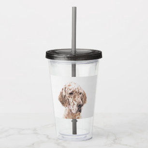 English Setter Orange Belton Painting Dog Art Acrylic Tumbler