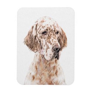 English Setter Orange Belton Painting Dog Art Magnet