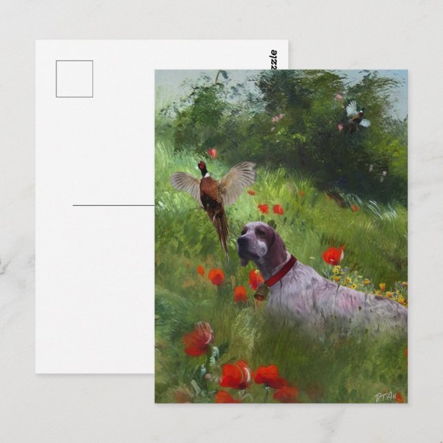 English Setter , Pheasant hunting  Postcard (Front/Back)