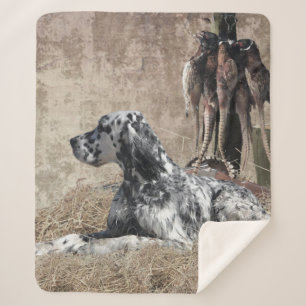 English Setter , Pheasant Hunting  Tapestry Poster Sherpa Blanket