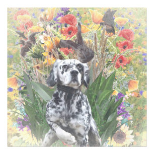 English Setter Photo Print
