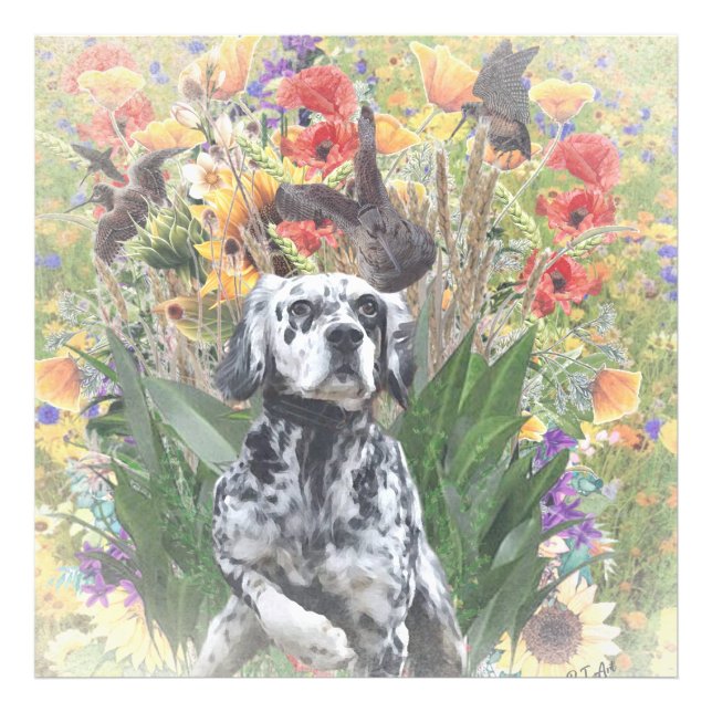 English Setter    Photo Print (Front)