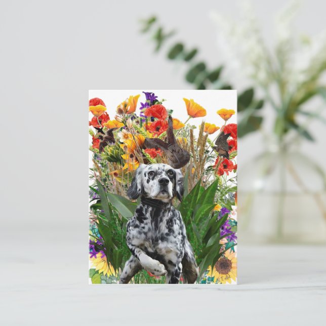 English Setter    Postcard (Standing Front)