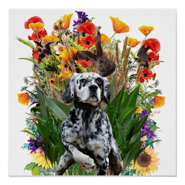 English Setter    Poster (Front)