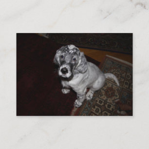 English Setter Puppy Business Card
