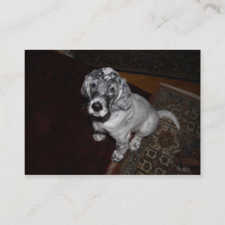 English Setter Puppy Business Card