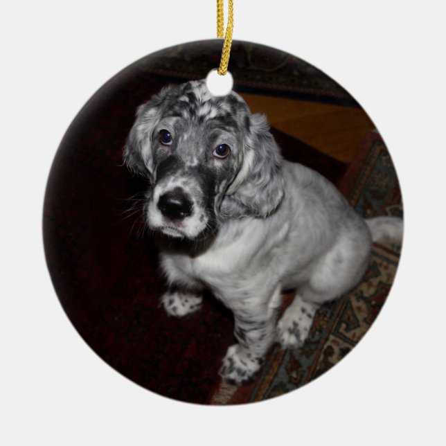English Setter Puppy Ceramic Tree Decoration (Front)