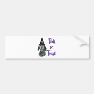 English Setter Trick Bumper Sticker