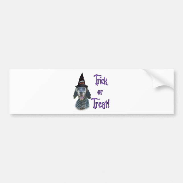 English Setter Trick Bumper Sticker (Front)
