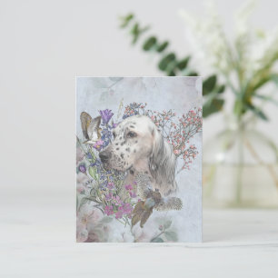 English setter with pheasants, art     postcard