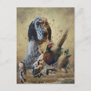 English setter with pheasants, art     postcard