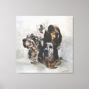 English Setter , woodcock hunting  Canvas Print