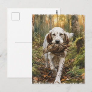 English Setter , woodcock hunting  Postcard