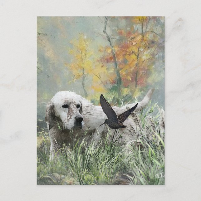 English Setter , woodcock hunting season , Art Holiday Postcard (Front)