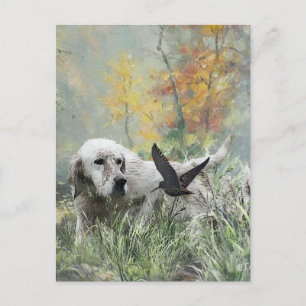 English Setter , woodcock hunting season , Art Postcard