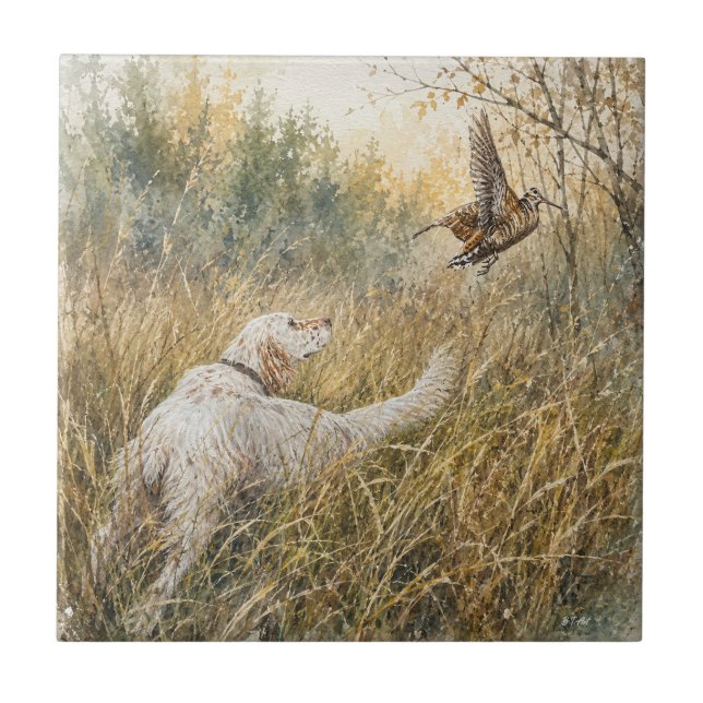 English Setter , woodcock hunting  Tile (Front)