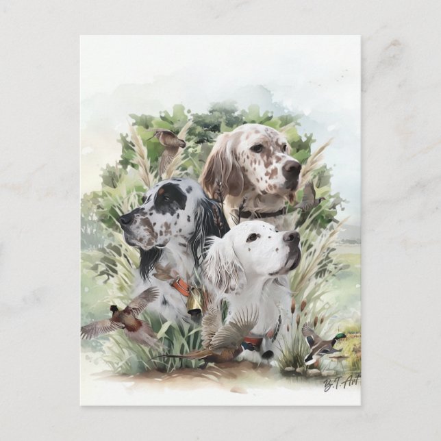 English Setters  Postcard (Front)