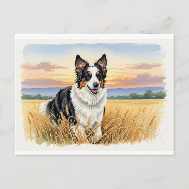 English Shepherd in a Field of Wheat Postcard (Front)