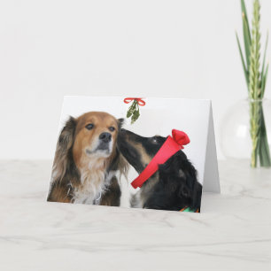 English Shepherds under the Mistletoe card! Holiday Card