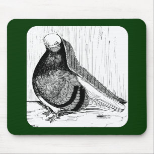 English Shortfaced Pigeon Bald 1978 Mouse Pad