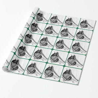 English Shortfaced Pigeon Bald 1978 Wrapping Paper