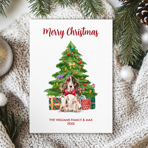 English Spaniel Christmas Card