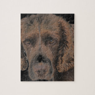 English Springer Dogs Jigsaw Puzzle