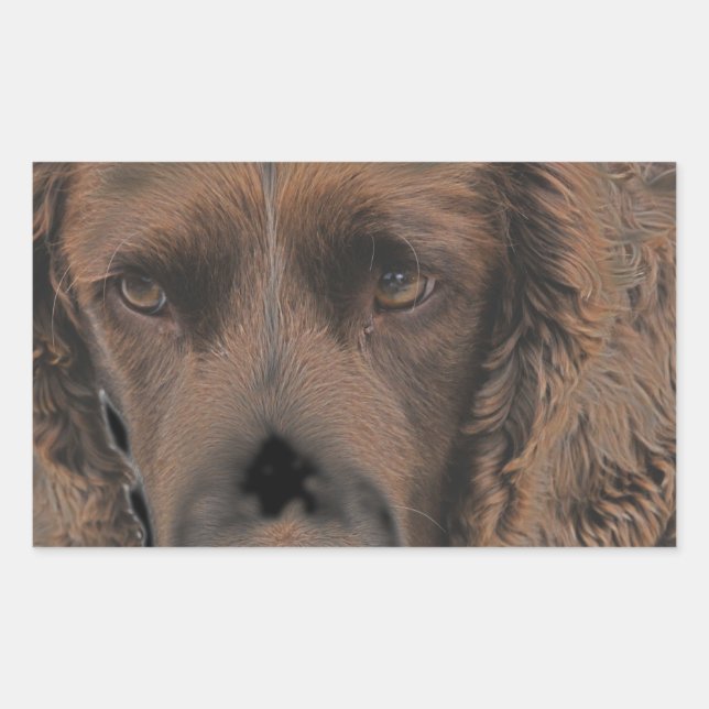 English Springer Dogs Rectangular Sticker (Front)