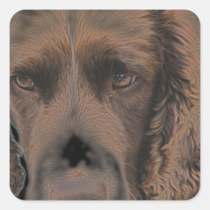 English Springer Dogs Square Sticker