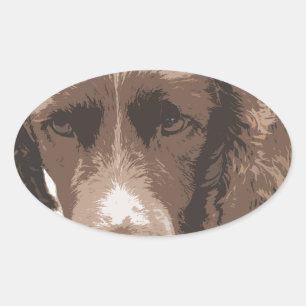 English Springer Oval Sticker