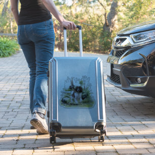 English Springer Spaniel