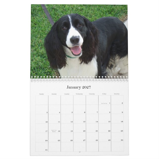 English Springer Spaniel 2009 Calendar (Jan 2027)