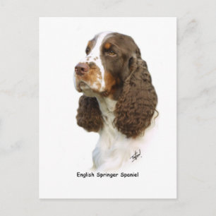 English Springer Spaniel 8M15D-05 Postcard